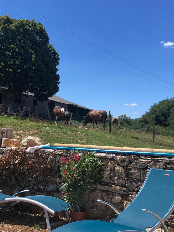 La Ferme De La Truffe Chambres D Hotes Cuzance Екстер'єр фото